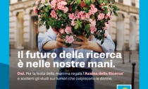 A Vercelli torna l'Azalea della ricerca di Fondazione Airc