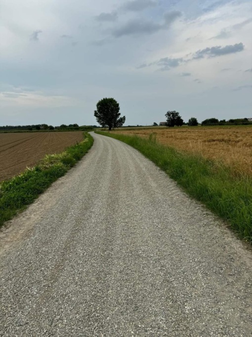 Arriva il restyling delle strade bianche a Borgo d’Ale