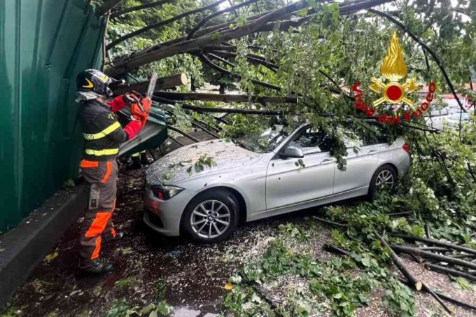 Un albero cade e schiaccia tre vetture a Borgosesia