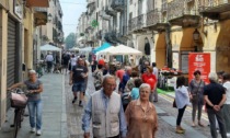 Cosa fare a Vercelli: eventi dal 7 al 9 giugno 2024