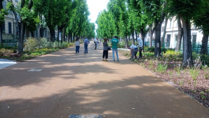 Viale Garibaldi: il ritorno dei vercellesi fra curiosità, gradimento e critiche