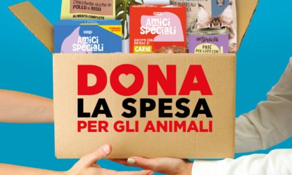 Con NovaCoop dona la spesa per cani e gatti abbandonati