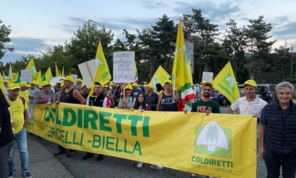 Coldiretti Vercelli-Biella in piazza per dire “Basta Cinghiali”