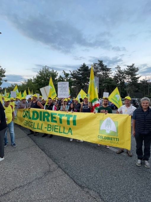 Coldiretti Vercelli-Biella in piazza per dire “Basta Cinghiali”