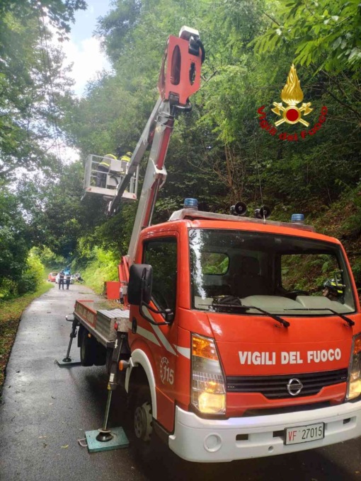 Alberi pericolanti appoggiati a cavi elettrici a Varallo