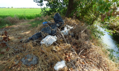 Discariche estive e di lungo corso: due casi