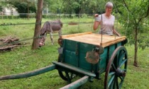 Tutto pronto per  "Agrotech" con il Gruppo Fai Giovani Vercelli