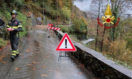 Pianta cade su cavi del telefono: strada a traffico alternato a Varallo