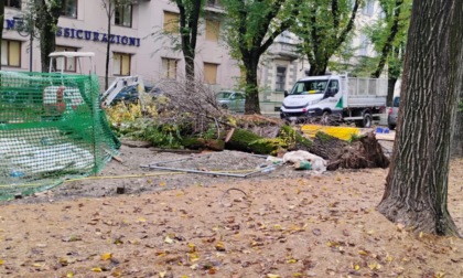 Viale Garibaldi, nuovo annuncio per le panchine: metà novembre...