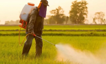 I Medici per l'Ambiente ISDE dicono no al glifosato anti erbacce