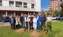 "Un albero per la salute" all' ospedale di Vercelli