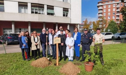 "Un albero per la salute" all' ospedale di Vercelli