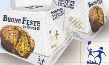 Panettone Biud10: al via le prenotazioni