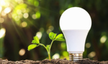 LedLedITALIA.it: illuminazione eco-friendly per case e aziende italiane