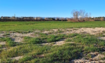 Vercelli insolita: una brughiera e dune alle porte della città