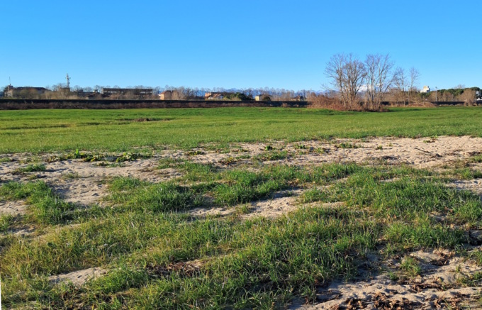 Vercelli insolita: una brughiera e dune alle porte della città