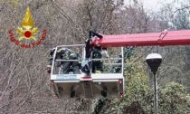 Alberi pericolanti finiti contro i fili della linea elettrica