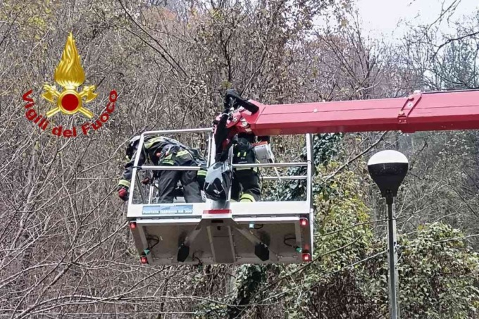 Alberi pericolanti finiti contro i fili della linea elettrica