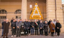 Vercelli accende il "suo" albero per la sicurezza sul lavoro