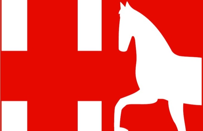 Padova-Pro Vercelli, le ultime: scheda avversario e probabili formazioni
