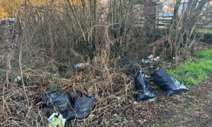 Vercelli, tornano incivili e scempio ecologico nel boschetto di via Cavalcanti