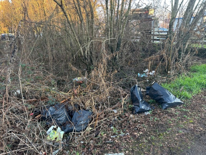 Vercelli, tornano incivili e scempio ecologico nel boschetto di via Cavalcanti