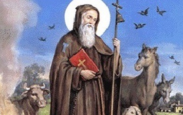 Venerdì 17 la ricorrenza di S. Antonio abate e benedizione degli animali