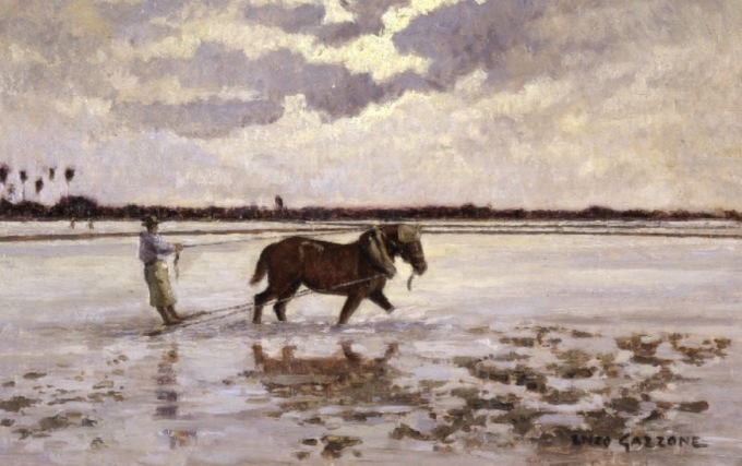 L’Ente Risi onora Enzo Gazzone: la Rapsodia della Risaia in mostra a Novara