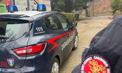 Stagione venatoria: 6 denunce e 26 sanzioni ai cacciatori dai Carabinieri