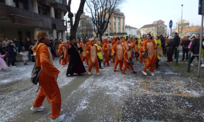 Carnevale 2025: verso la seconda sfilata a Vercelli e tanti incontri nei paesi