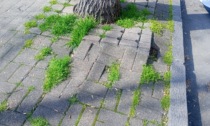 Viale di corso Abbiate in condizioni pietose da anni