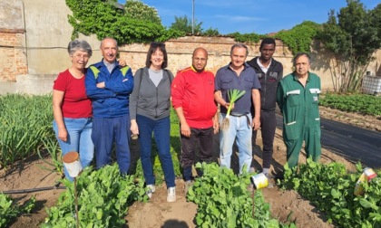 "Seminare inclusione": l’agricoltura sociale protagonista di una mostra fotografica in municipio