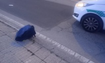 Investita in piazza Medaglie d'Oro: una vercellese in codice rosso
