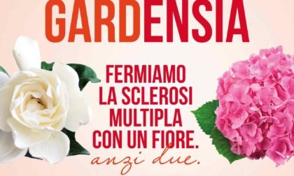 Gardensia Aism: i banchetti in città e provincia