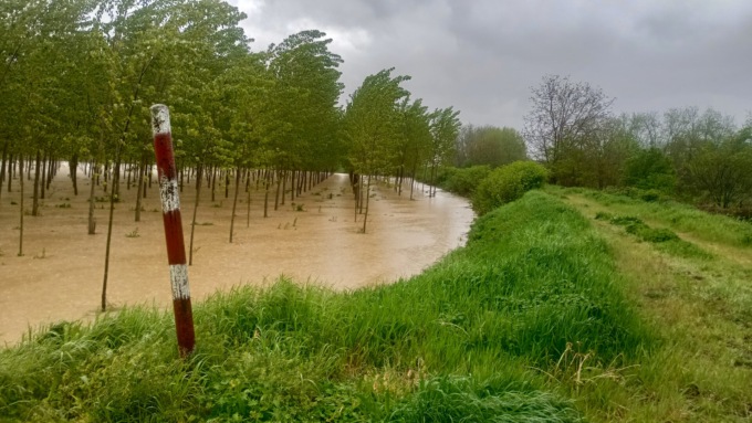 Fiume Sesia a Vercelli: il peggio dovrebbe essere passato