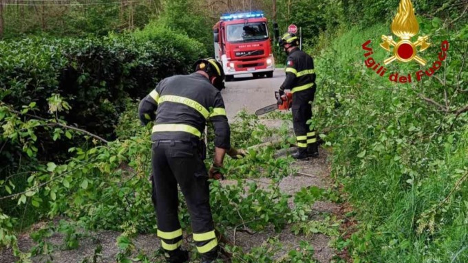 Taglio piante lungo la strada: i vigili del fuoco ripristinano visibilità e viabilità