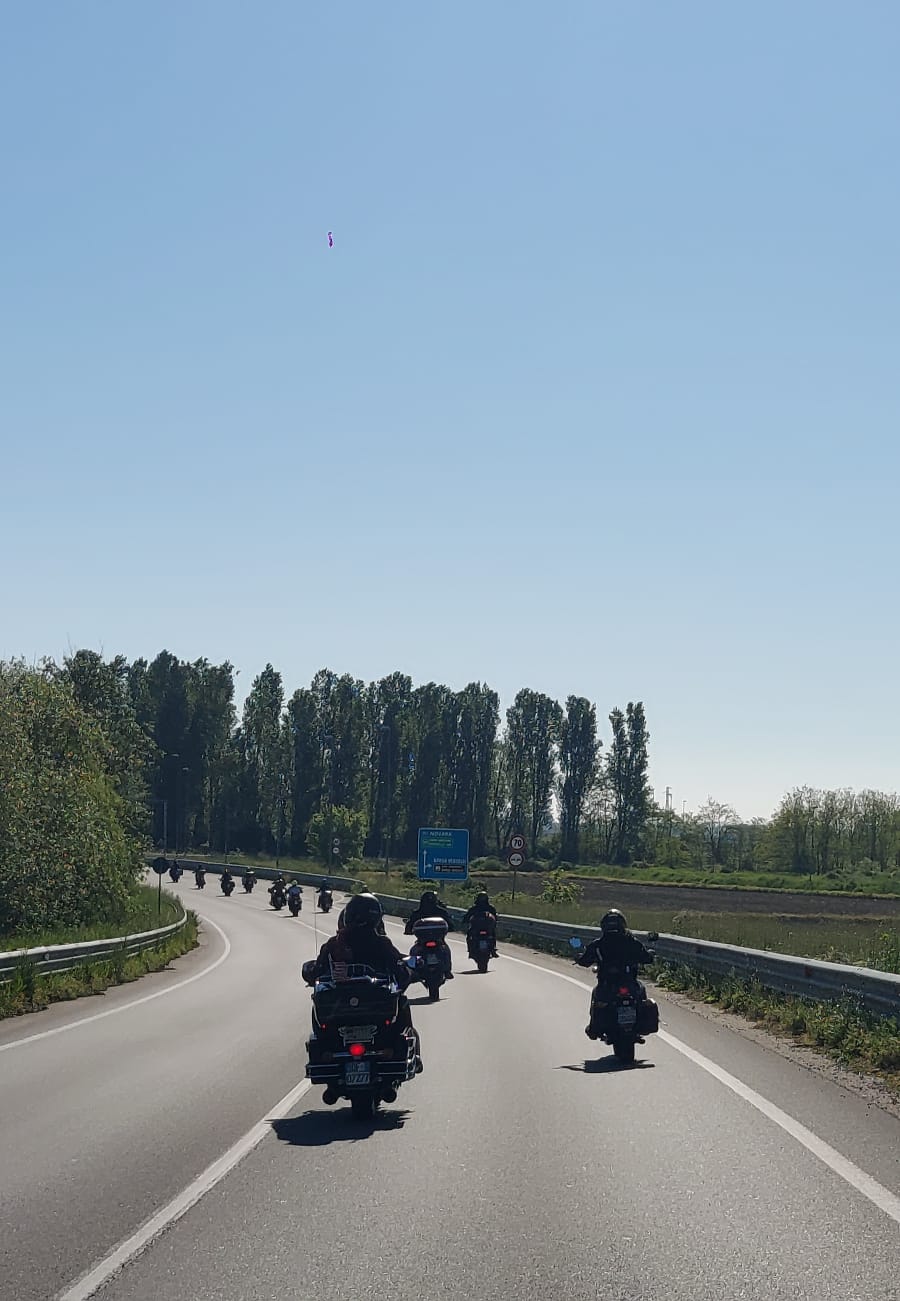 confraternita_03