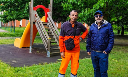 Cura del verde pubblico, l'assessore Prencipe annuncia senza dubbi: "Arriveremo ovunque"