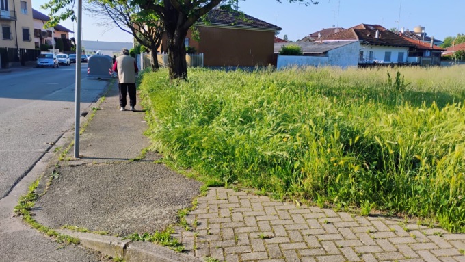 Tra le erbacce i quartieri nell’area di corso Avogadro