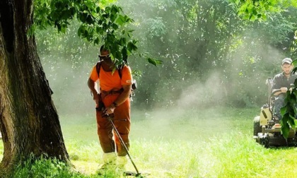 Prencipe: "Il taglio e la cura del verde proseguono: interverremo in ogni angolo cittadino"