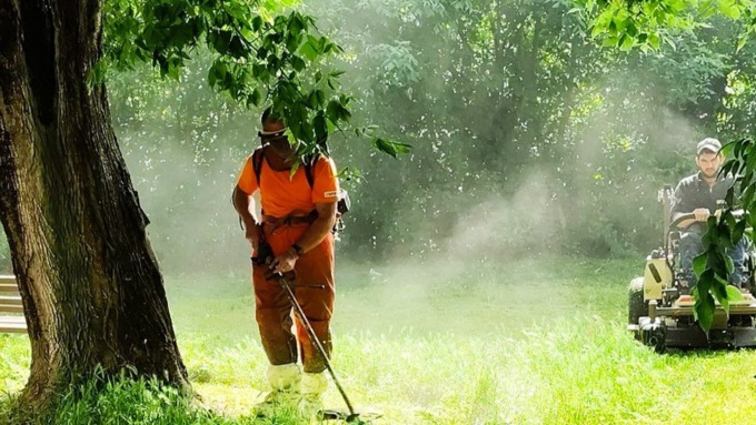 Prencipe: “Il taglio e la cura del verde proseguono: interverremo in ogni angolo cittadino”