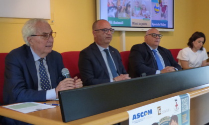 Scheda: "Lo spirito di unione della Fattoria in Città è un orgoglio per tutta Vercelli"