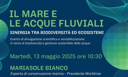 “Il mare e le acque fluviali - Sinergia tra biodiversità ed ecosistemi”. Tutto pronto per il seminario alla palestra del Sacro Cuore