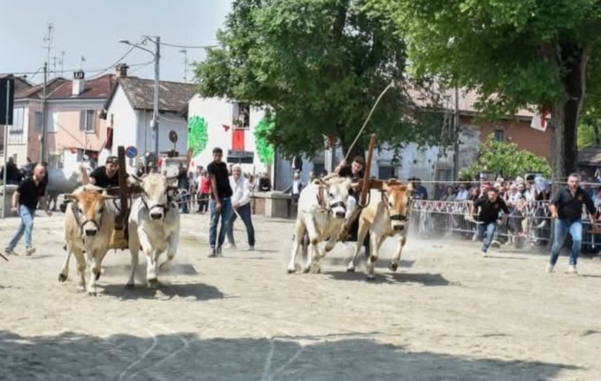 Patronale di Asigliano 2025: il via giovedì con processione e concerto