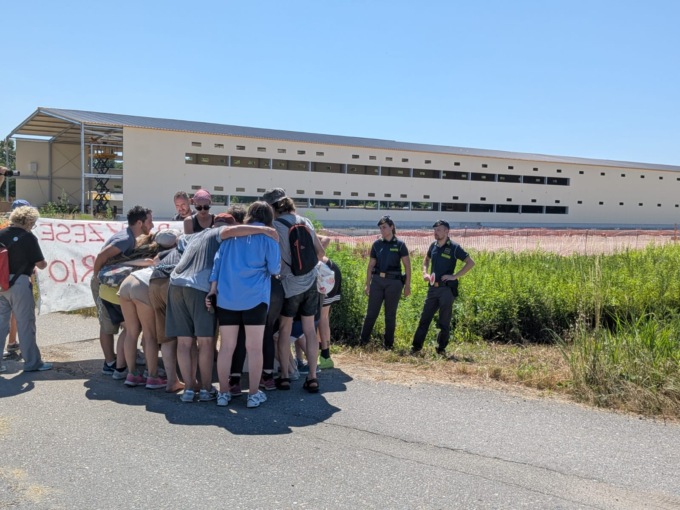 Sit-in animalista ad Arborio contro il maxi allevamento di galline