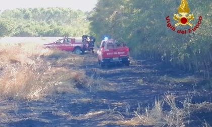 Incendio a Borgo d'Ale in un campo e nel bosco