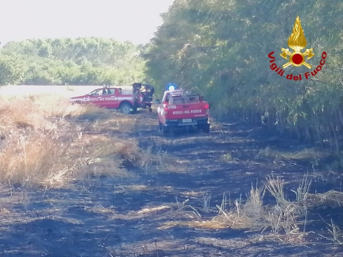 Incendio a Borgo d’Ale in un campo e nel bosco