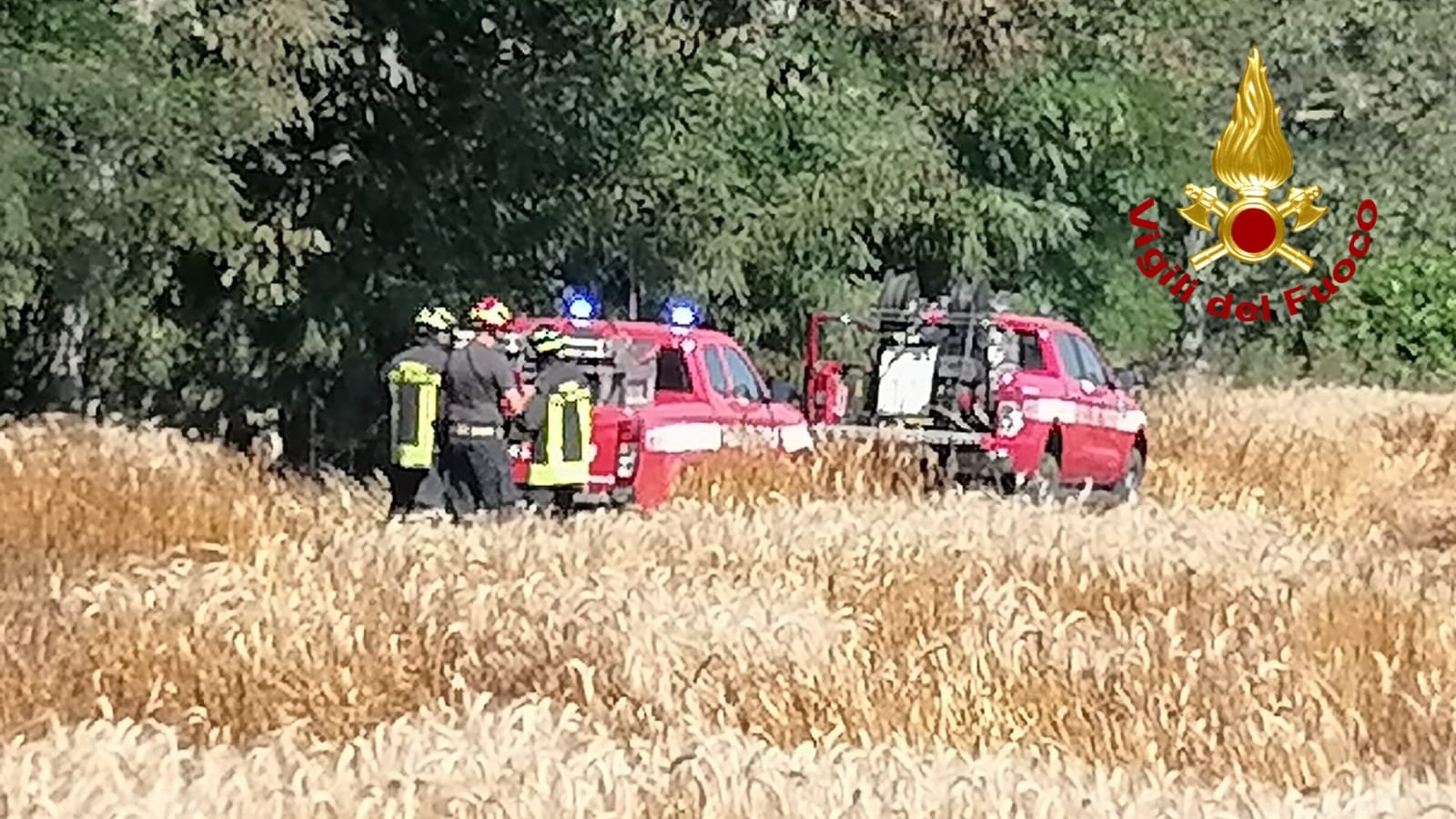 Borgo D'Ale incendio sterpagle giugno 2025 2