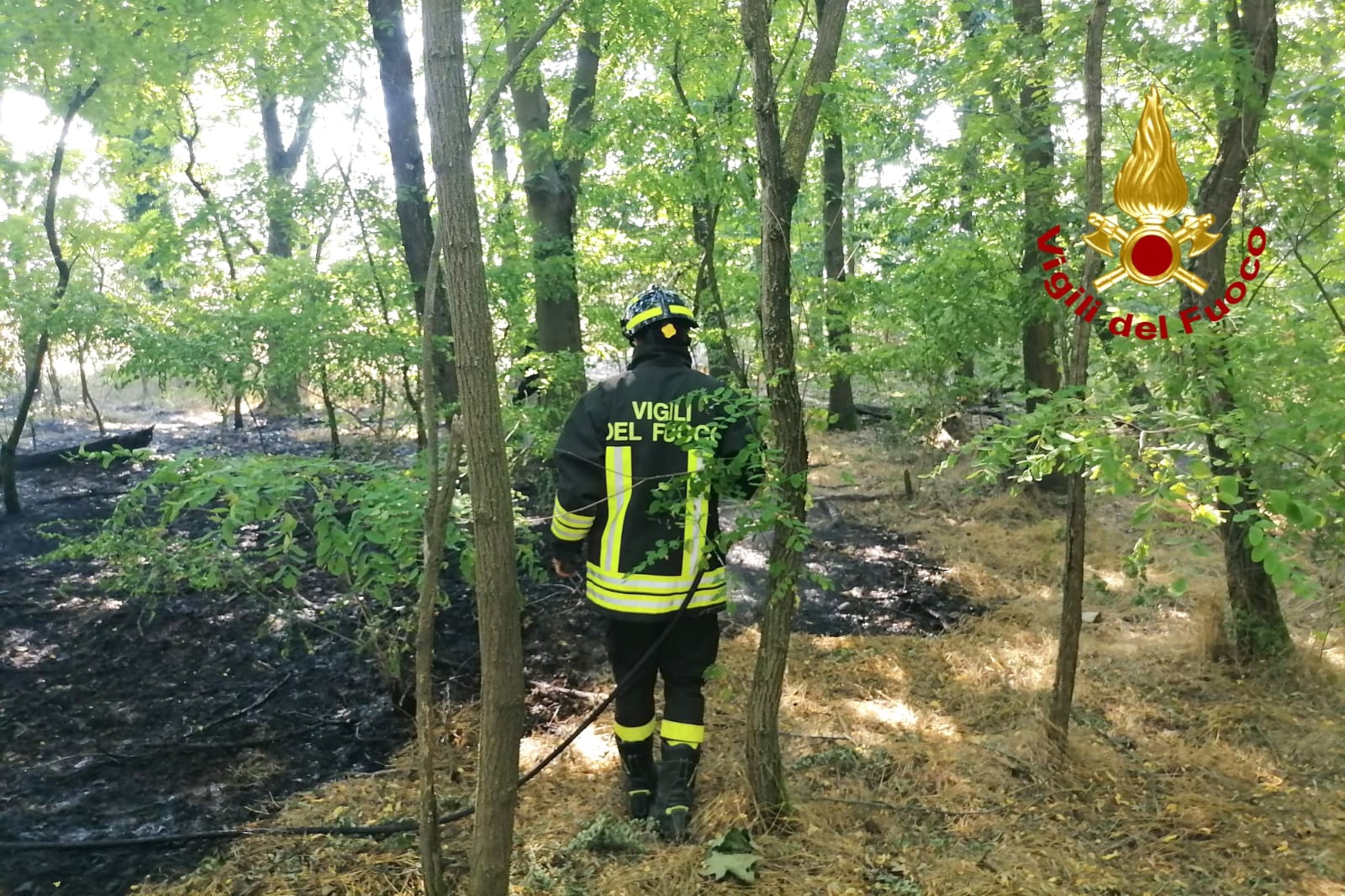 Borgo D'Ale incendio sterpagle giugno 2025 3
