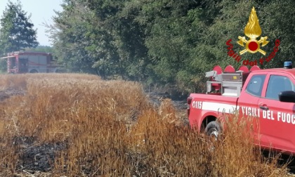 Borgo D'Ale, altro incendio di vegetazione nel giro di 24 ore: i vigili del fuoco mettono in salvo le arnie